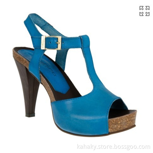 Lady Fashion Shoes for 2014 (HL201312)